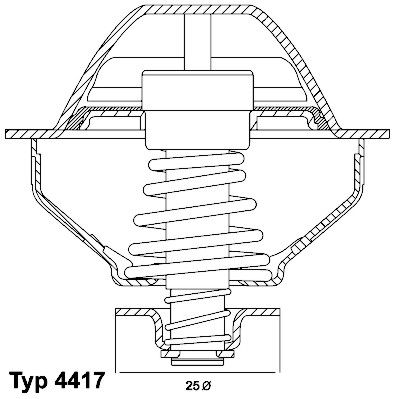 Termostats, Dzesēšanas šķidrums BorgWarner (Wahler) 410289.81D