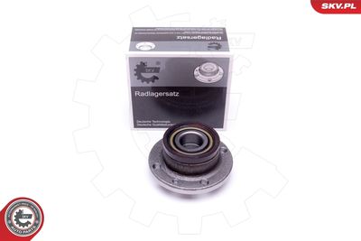 Комплект подшипника ступицы колеса ESEN SKV 29SKV419