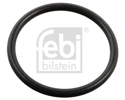Blīvgredzens, Iesmidzināšanas sprausla FEBI BILSTEIN 106612