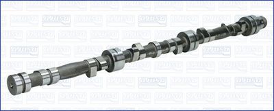Sadales vārpsta AJUSA 93031800