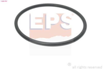 EPS 1890742 Blīve, Termostats