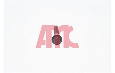 Комплект болтов головки цилидра AMC 258145