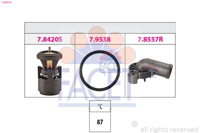 Termostats, Dzesēšanas šķidrums FACET 7.8561K