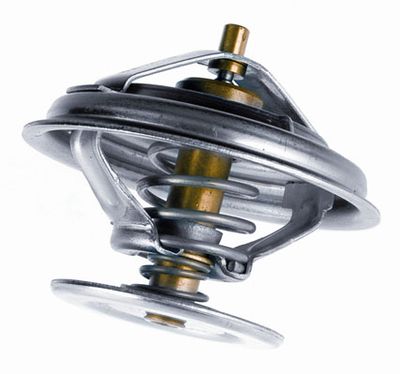 Termostats, Dzesēšanas šķidrums BorgWarner (Wahler) 4030.80