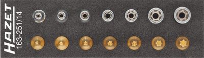 Instrumentu komplekts HAZET 163-251/14