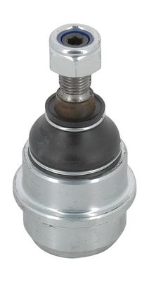 Balst-/Virzošais šarnīrs MOOG RO-BJ-0773