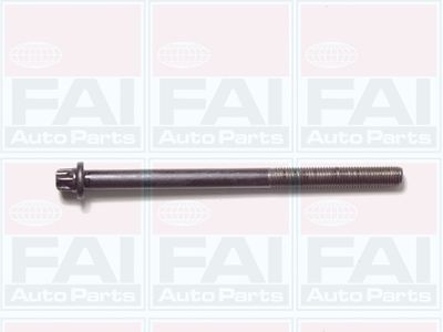 Cilindru galvas skrūvju komplekts FAI AutoParts B1050