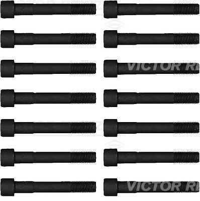 Комплект болтов головки цилидра VICTOR REINZ 14-55065-01
