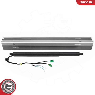 Электромотор, задняя дверь ESEN SKV 52SKV983