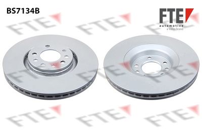 Тормозной диск FTE 9081192