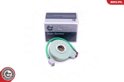 Датчик угла поворота ESEN SKV 17SKV476
