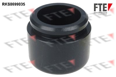 Virzulis, Bremžu suports FTE 9313098