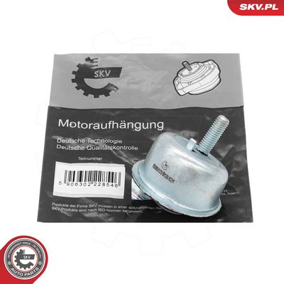 Piekare, Dzinējs ESEN SKV 75SKV173