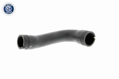 Pūtes sistēmas gaisa caurule VAICO V40-1356