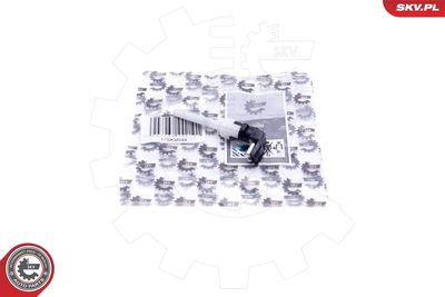 Devējs, Dzesēšanas šķidruma līmenis ESEN SKV 17SKV644