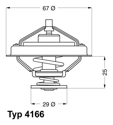 Termostats, Dzesēšanas šķidrums BorgWarner (Wahler) 4166.79D