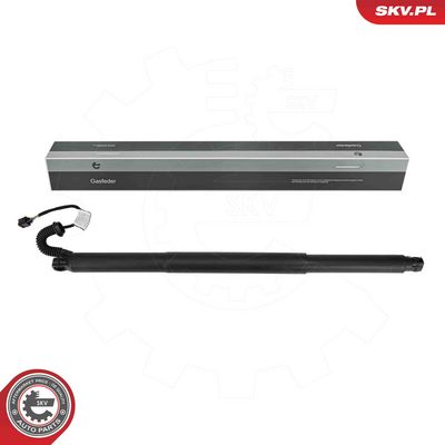 Электромотор, задняя дверь ESEN SKV 52SKV889