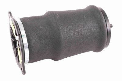Pneimoatspere, Balstiekārta VEMO V30-50-0024