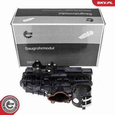 Модуль впускной трубы ESEN SKV 49SKV098