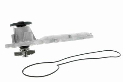 Ūdens sūknis, dzinēja dzesēšana VAICO V30-50084