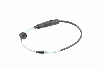 Trose, Sajūga pievads VAICO V10-1670