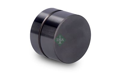 Толкатель Schaeffler INA 420 0022 10