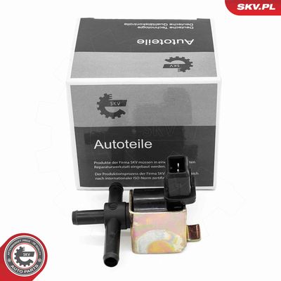 Клапан регулирования давления нагнетателя ESEN SKV 14SKV924