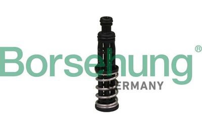 Eļļas spiediena vārsts BORSEHUNG B12309