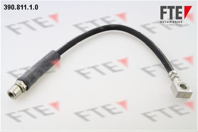 Тормозной шланг FTE 9240549