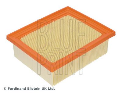 Gaisa filtrs BLUE PRINT ADBP220249