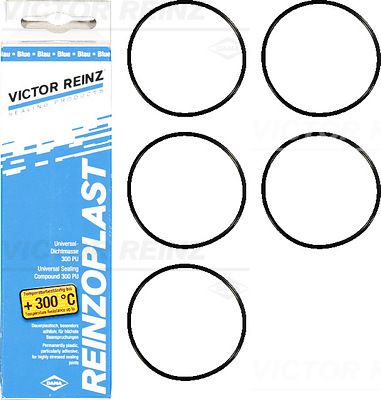 Tihendikomplekt, klapikaas VICTOR REINZ 15-76741-02