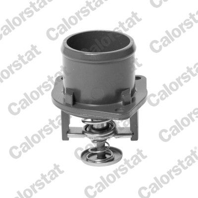 Termostats, Dzesēšanas šķidrums CALORSTAT by Vernet TH7118.80J