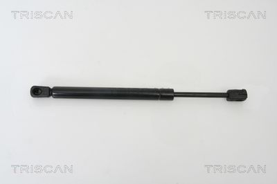 Gāzes atspere, Bagāžas/Kravas nodalījuma vāks TRISCAN 871029260