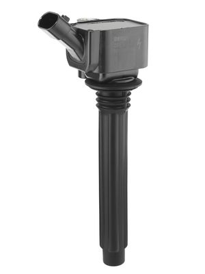 Катушка зажигания BorgWarner (BERU) ZS619