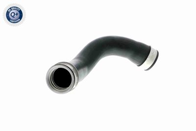 Pūtes sistēmas gaisa caurule VAICO V102899