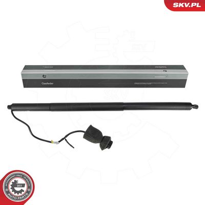 Электромотор, задняя дверь ESEN SKV 52SKV891