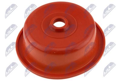 Модуль впускной трубы NTY BKS-AU-016