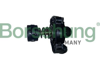 Termostats, Dzesēšanas šķidrums Borsehung B10554