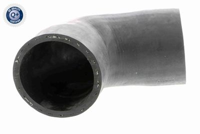 Pūtes sistēmas gaisa caurule VAICO V10-3824