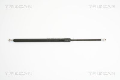 Gāzes atspere, Bagāžas/Kravas nodalījuma vāks TRISCAN 8710 29277