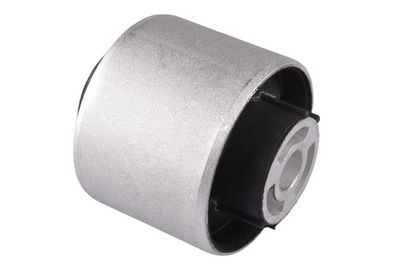 Piekare, Šķērssvira TEDGUM 00720886