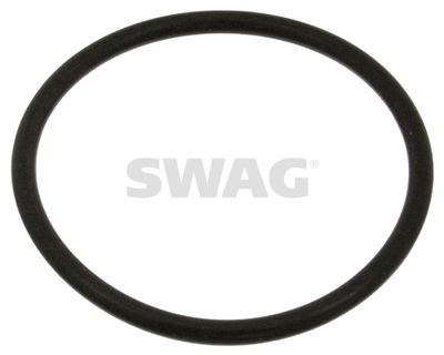 Blīve, Dzesēšanas šķidruma flancis SWAG 30918774