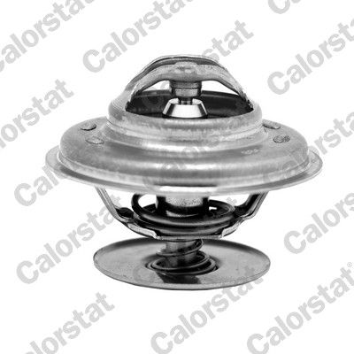 Termostats, Dzesēšanas šķidrums CALORSTAT by Vernet TH5712.78