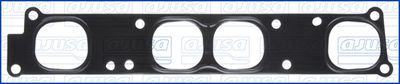 Blīve, Ieplūdes kolektora korpuss AJUSA 01721600