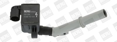 Катушка зажигания BorgWarner (BERU) ZSE094
