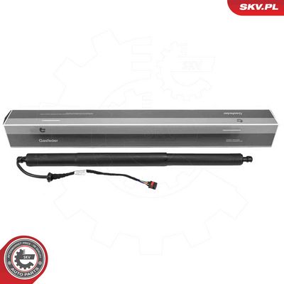 Электромотор, задняя дверь ESEN SKV 52SKV989