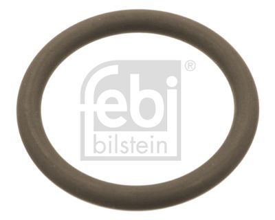 Blīve, Sprauslas korpuss FEBI BILSTEIN 102763