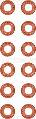 Blīvju komplekts, Vārsta kāts VICTOR REINZ 12-40218-01