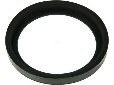 Ремкомплект, стартер AS-PL SRS5011