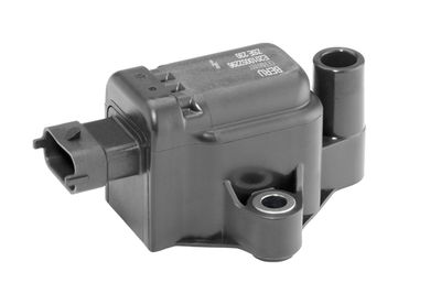 Aizdedzes spole BorgWarner (BERU) ZSE230